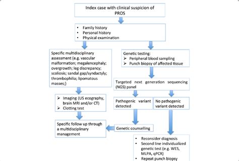 Flow Chart Clinical And Molecular Assessment In The Pros Patients