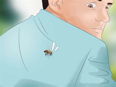 What makes these insects so deadly? How to Escape from Killer Bees: 12 Steps (with Pictures ...