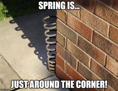 Spring Is Just Around The Corner Imgflip