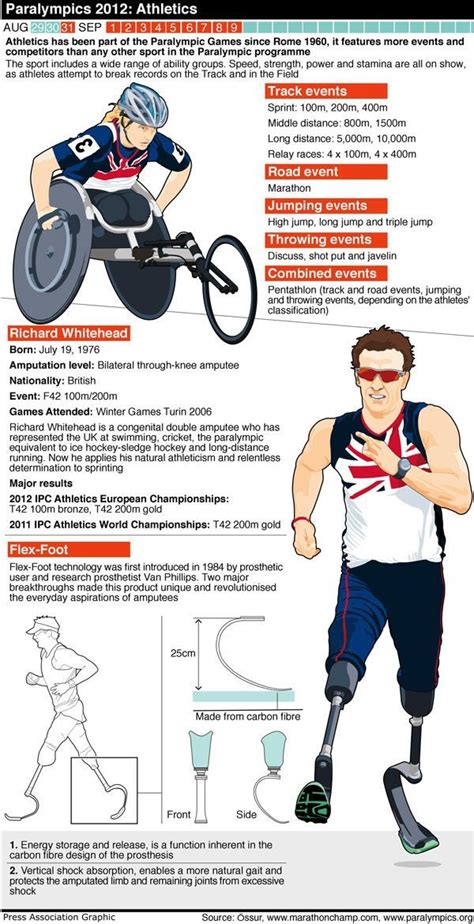 Paralympics Athletics Physical Education Games Science Education