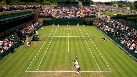 On monday, all 16 players left in the wimbledon singles draw took the court. Venus williams calls for wimbledon equality after court 18 ...