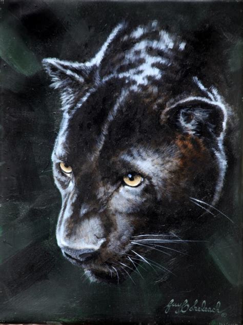 Black Leopard Portrait Sci 12 X 9 Kandk Wildlife Art Black