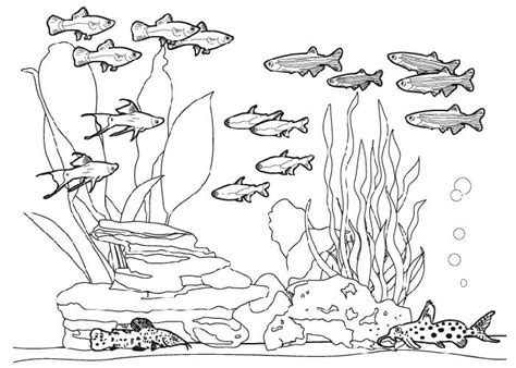 Aquarium Coloring Pages at GetColorings.com | Free printable colorings