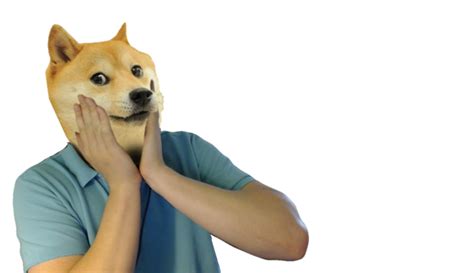 We did not find results for: Download Doge Png Transparent | PNG & GIF BASE