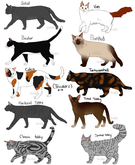 The cat book. - Choose your coat color and name