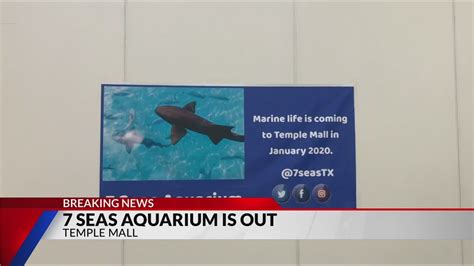 7 Seas Aquarium Not Coming To Temple Mall Youtube