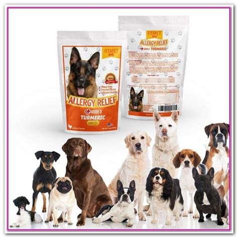 Ziwi peak wet dog food venison Best Wet Dog Food For Skin Allergies 2019 - Purina Pro ...