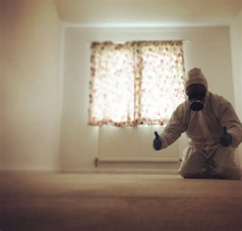 Complete pest control for your st. Winchester Pest Control | Pest Control Services | Ridtek ...