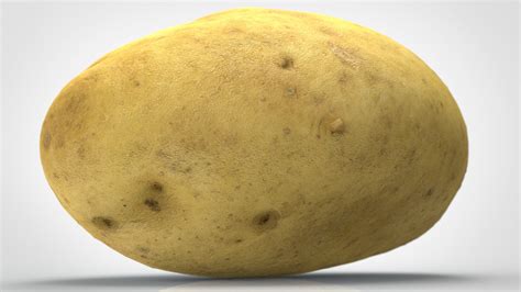 Potato 3d Model By Alenfsl