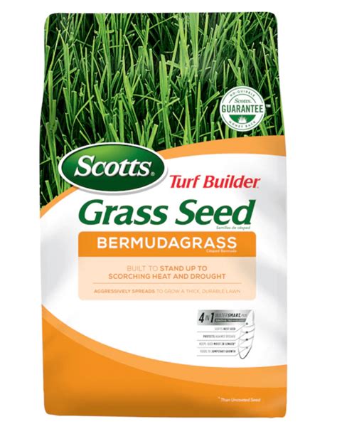 How To Kill Bermuda Grass In Your Garden Birds And Blooms