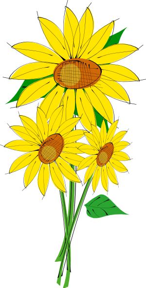 Sunflowers Clip Art Free Vector 4vector