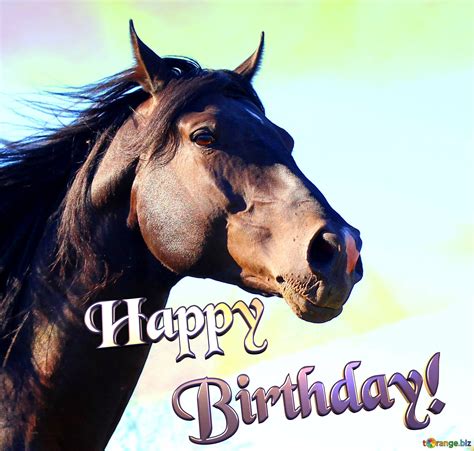 Horses Happy Birthday Free Image 2039