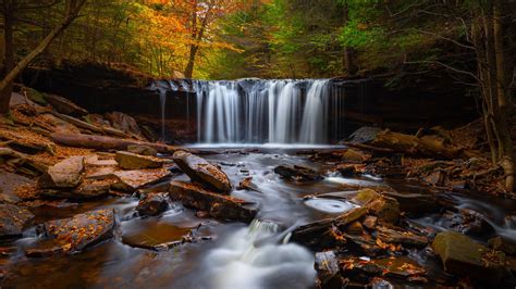 Forest Waterfall Hd Wallpapers On Wallpaperdog