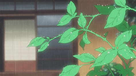 Anime Plants  Anime Plants Bocainwasul