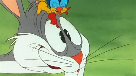 Bugs Bunny Falling Hare Looney Tunes Cartoon Youtube