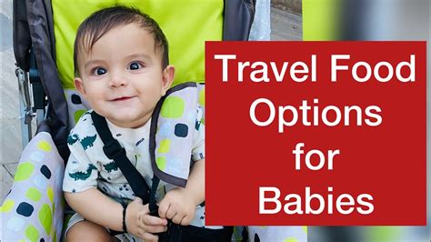 10 Travel Food Options For Babies From 6 Months To 1 Yearfood For