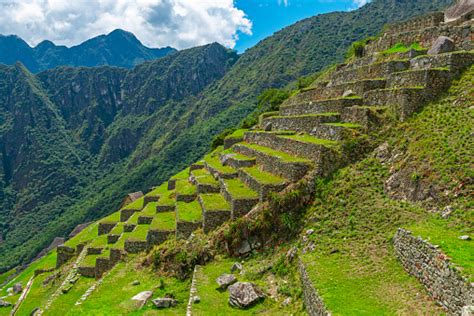 Agriculture Terraces Machu Picchu Peru Stock Photo Download Image Now
