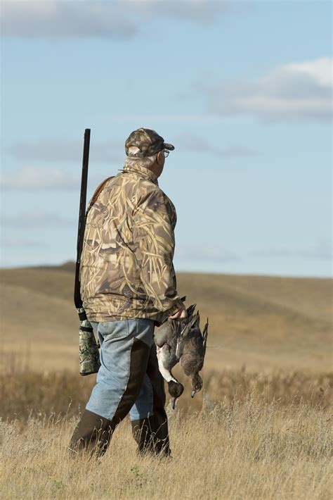 Simple Missouri Duck Hunting Tips