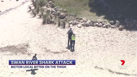 perth shark attack swan river