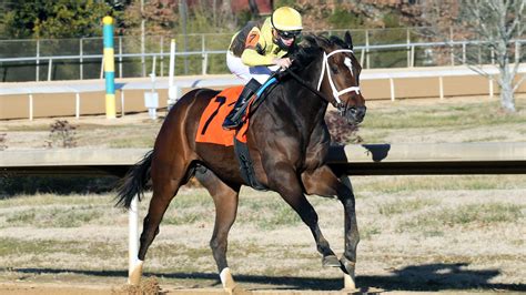 Tools & tips to win big on kentucky derby 2021. Kentucky Derby 2021 horses: What to know about Caddo River