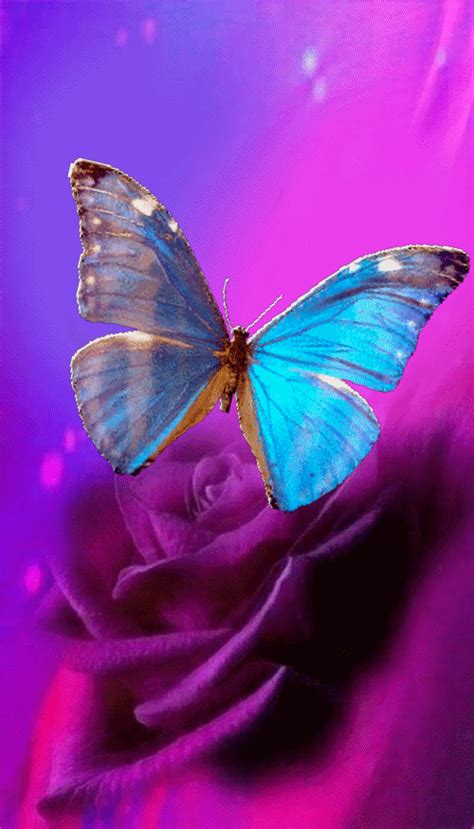Pink Wallpaper Iphone Butterfly Wallpaper Cute Wallpaper Backgrounds Of Wallpaper Colorful