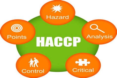 How To Get A Haccp Plan Without A Food Safety Consultant