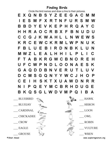 Bird Word Search Ll Middle