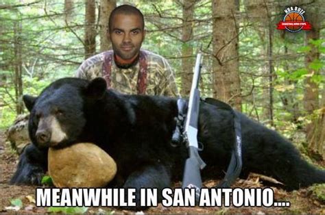 Pin By Leah Moet On Go Spurs Go Bear Hunting Black Bear Black Bear