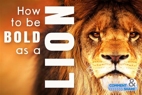 How To Be Bold As A Lion Kcm Blog
