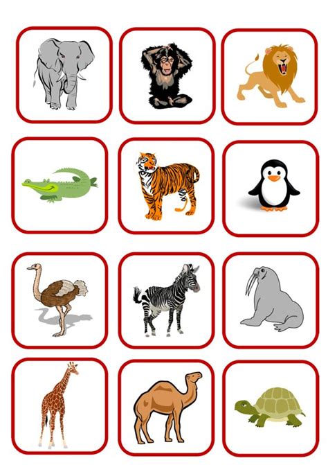 Hier können auch erwachsene super ihr gedächtnis trainieren und stellen sich einer herausforderung. Bildkarten: Zootiere - Sprache - madoo.net