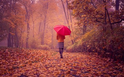 Wallpaper Women Outdoors Red Umbrella Fall Red Leaves Forest