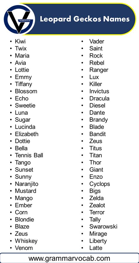 Names For Leopard Geckos Grammarvocab