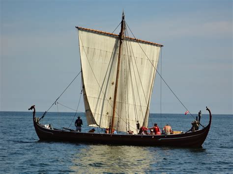 Viking Ships And Sailors Michael Wills
