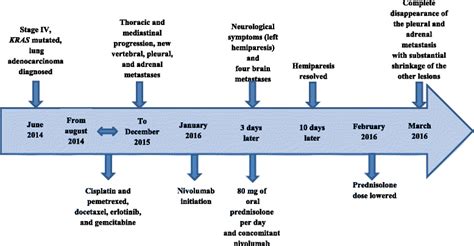 Timeline Summarizing Clinical History And Therapeutic Interventions