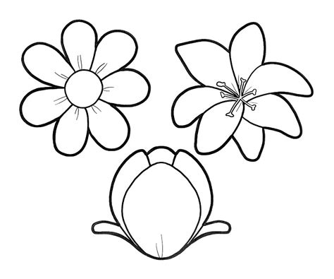 ESOS LOCOS BAJITOS DE INFANTIL FLORES PARA COLOREAR