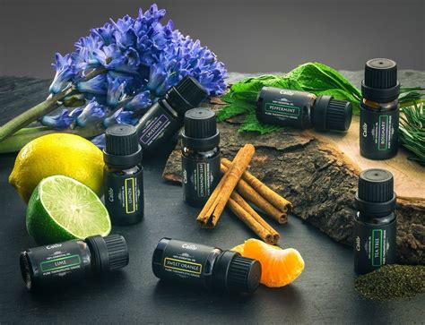 Aromatherapy Oils Set Essential For Your Wellness And Beauty