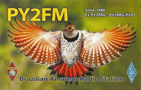 Lojinha Brasileira Py2fm Chicão Radioamador