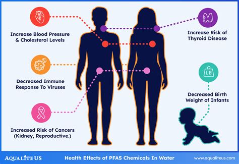 PFAS-Health-Effects-With-Border | Aqua Lite US