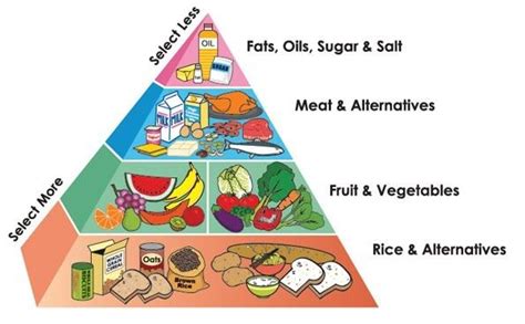 The foods in this group are excellent sources of calcium, which is essential for strong and healthy bones. Image result for 5 food groups | Food pyramid, Paleo food ...