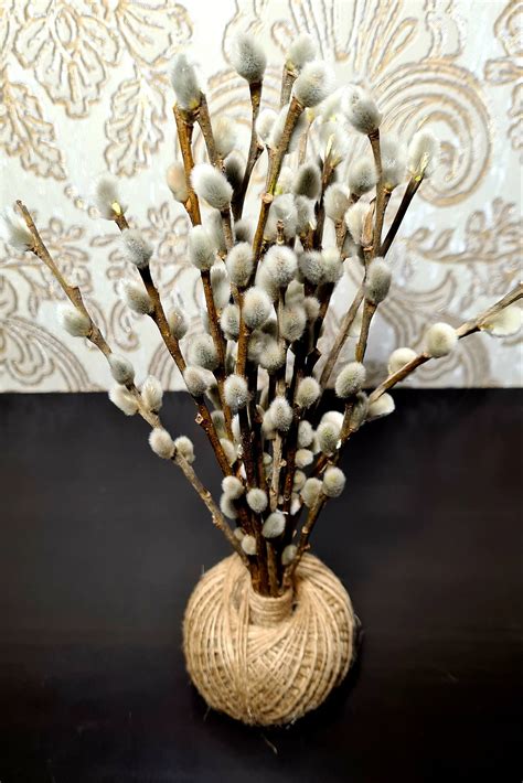 Natural Dried Branches Pussy Willow Branches Vase Filler Etsy