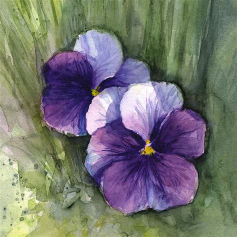 Purple Pansies Watercolor Painting By Olga Shvartsur
