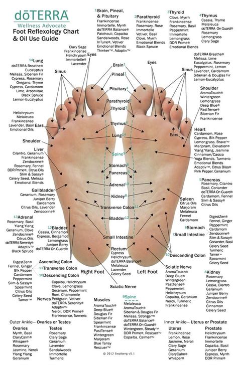 10 Pack Mini Reflexology Chart And Essential Oil Use Guide Etsy