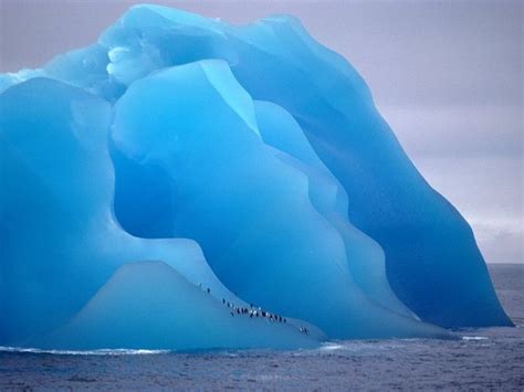 Did You Know About 90 Of The Worlds Freshwater Is Locked In Icebergs