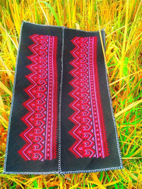 pin-by-sarika-on-ลายปัก-cross-stitch-designs,-hmong