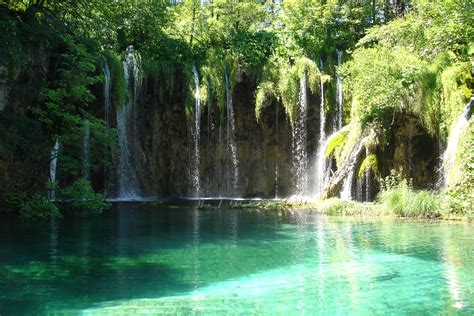 Free Images Tree Forest Waterfall Jungle Body Of Water Turquoise