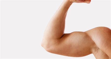 How These Short Head Bicep Exercises Enhance Arm Growth Musclechemistry