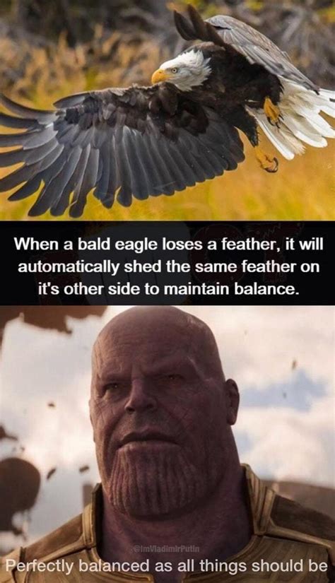 A Thanos Fact Perfectly Balanced Know Your Meme