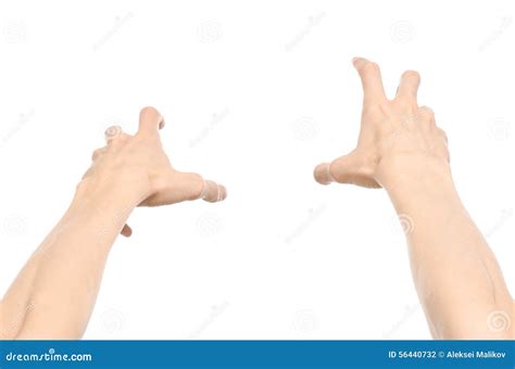 Gestures Topic Human Hand Gestures Showing First Person View Isolated