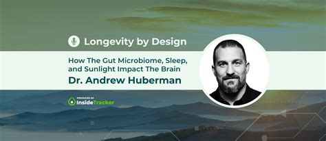 Dr. Andrew Huberman—How The Gut Microbiome, Sleep, and Sunlight Impact