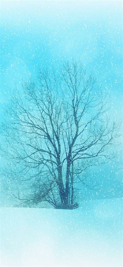 iPhone 14 Pro Max Wallpapers HD